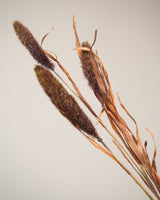 Faux Flower Cattail Branch